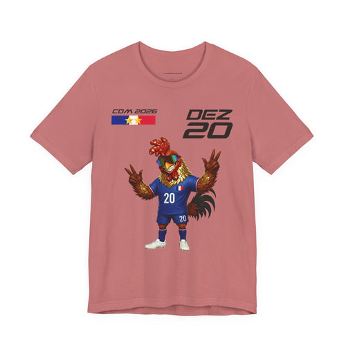 20 - DÉC